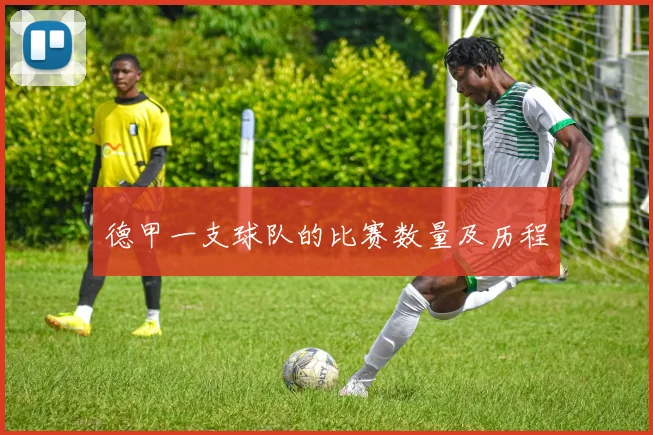 德甲一支球队的比赛数量及历程