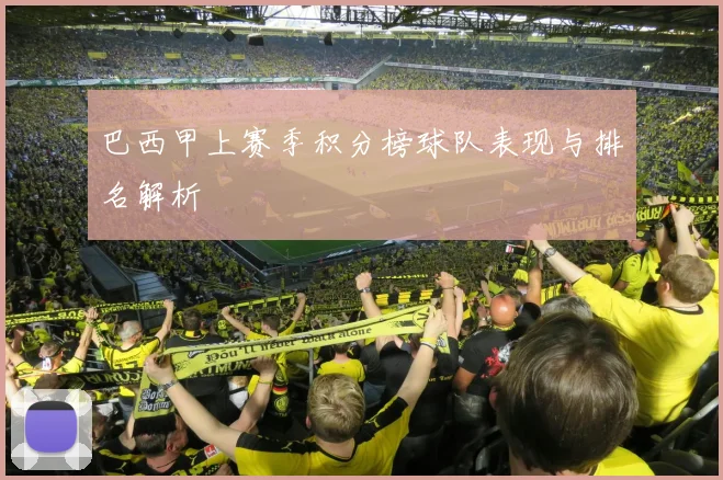 巴西甲上赛季积分榜球队表现与排名解析
